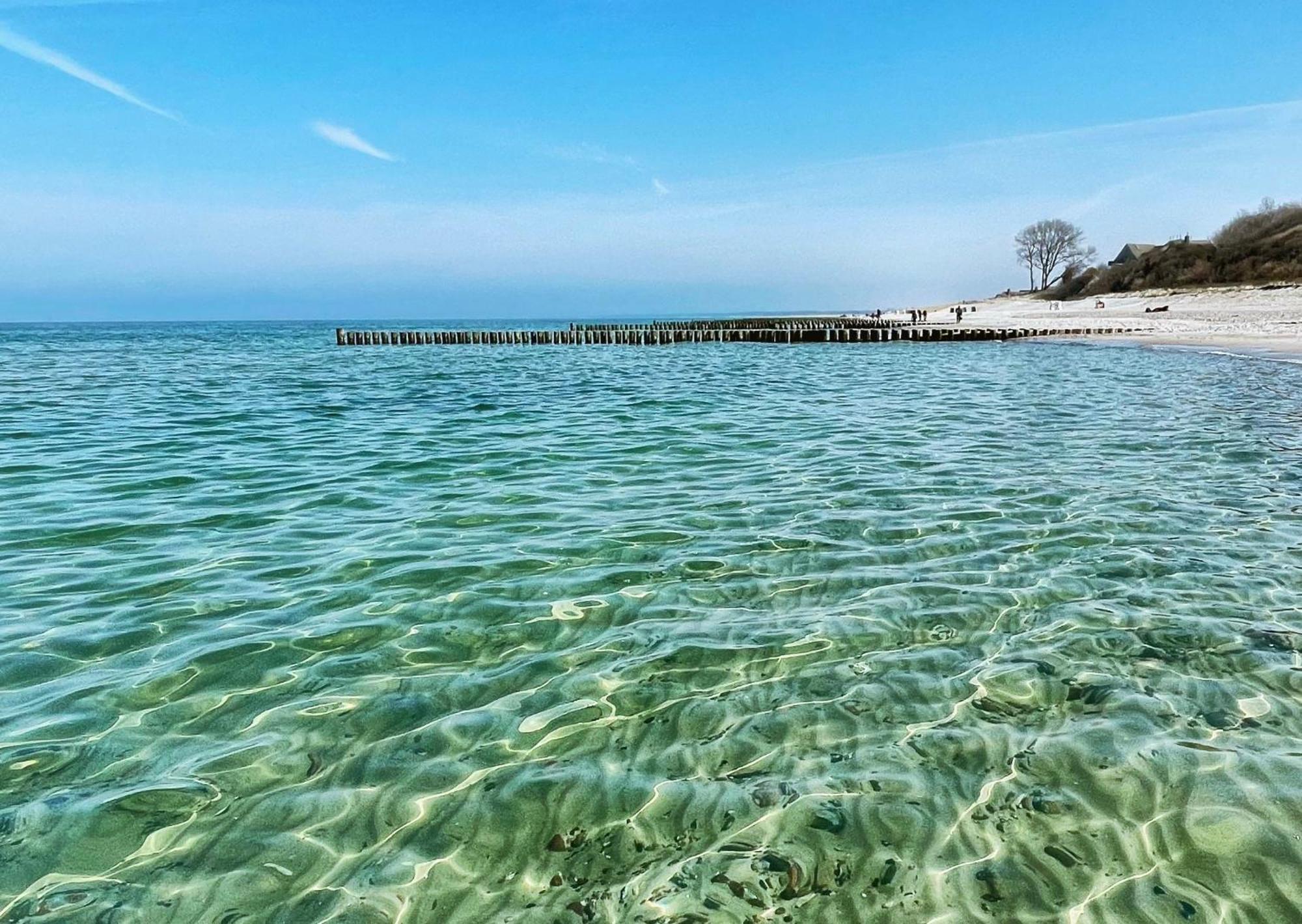 アーレンスホープHaus Am Bodden 02アパートメント エクステリア 写真
